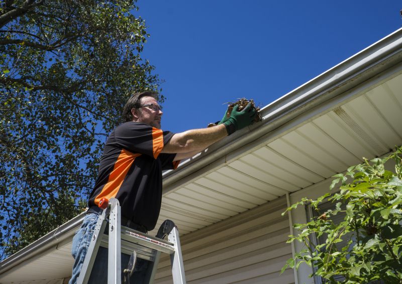 Clogged Gutter Clearing in Annapolis, MD