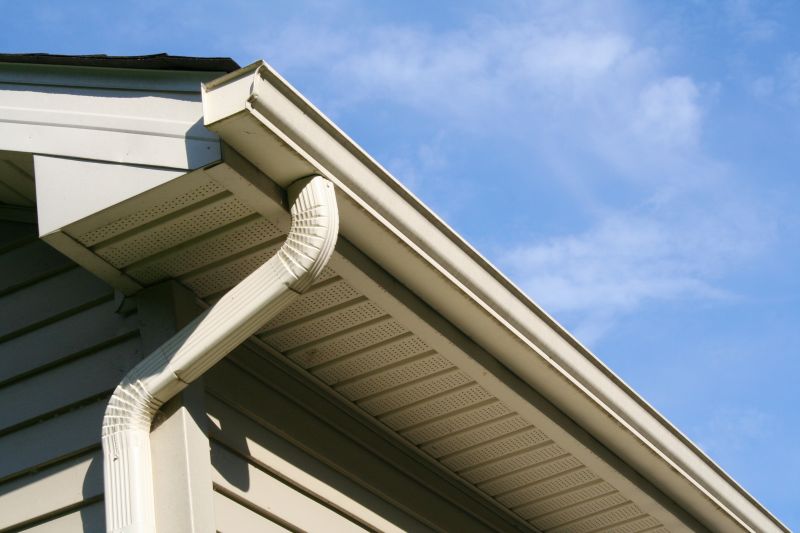 Eavestrough Clearing in Morris County, NJ