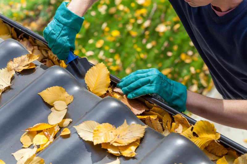 Gutter Leaf Clearing in Annapolis, MD
