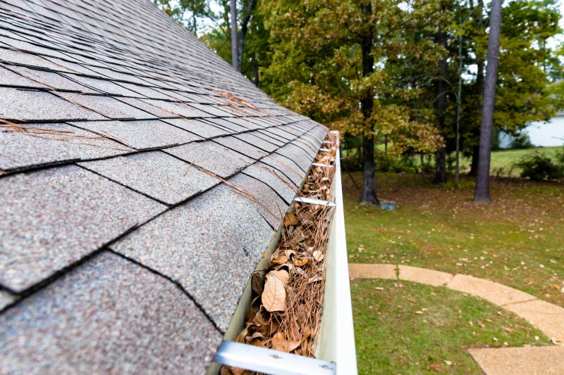 Gutter Pine Needle Removal in Pittsburgh, PA