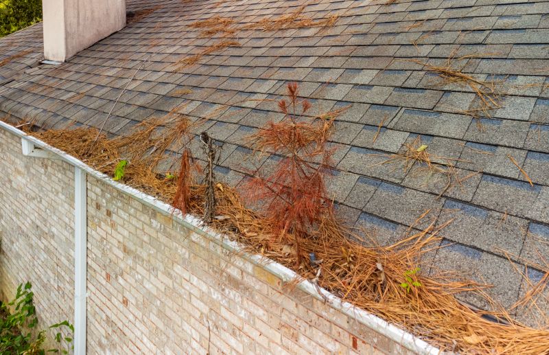 Gutter Pine Needle Removal in Longmont, CO