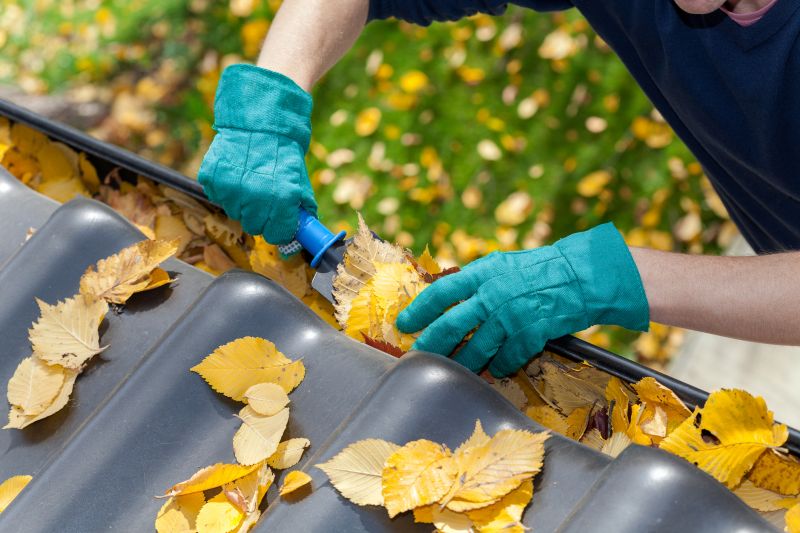 Business Gutter Cleaning in Mcdonough, GA