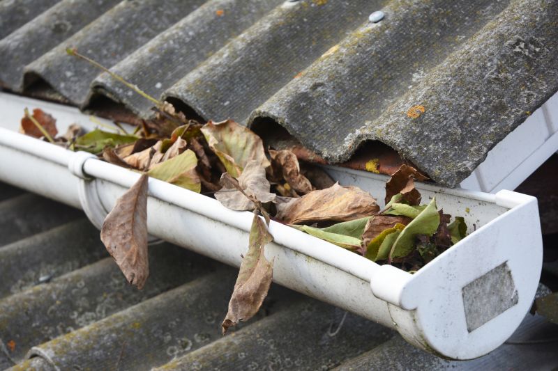 Clogged Gutter Clearing in Monmouth County, NJ