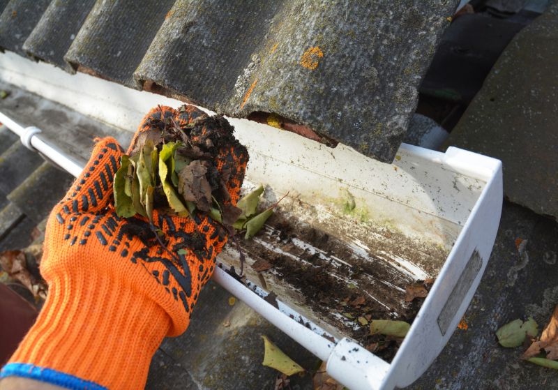 Clogged Gutter Clearing in Bergen County, NJ