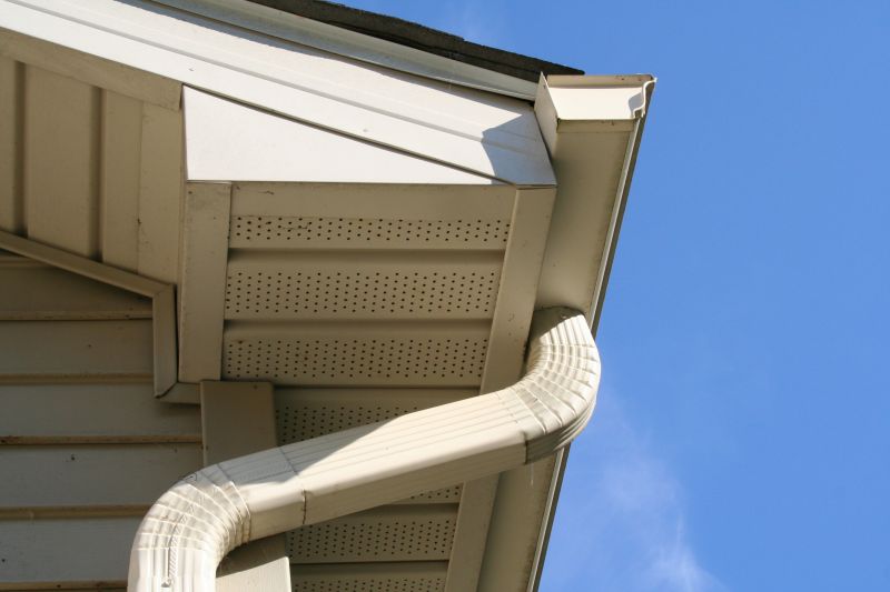 Downspout Blockage Removal in Annapolis, MD