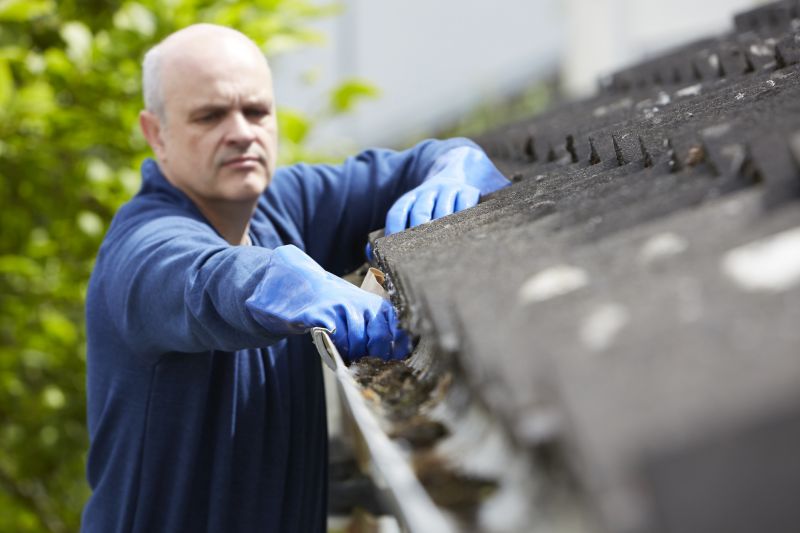 Roof Gutter Drains Cleaning detail