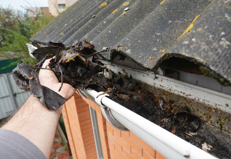 Roof Gutter Drains Cleaning detail
