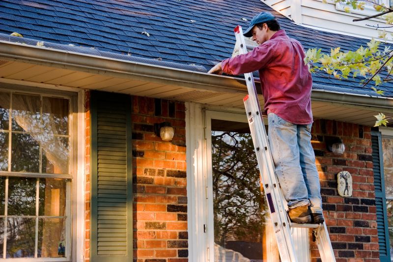 Garage Gutter Cleaning in Fredericksburg, VA