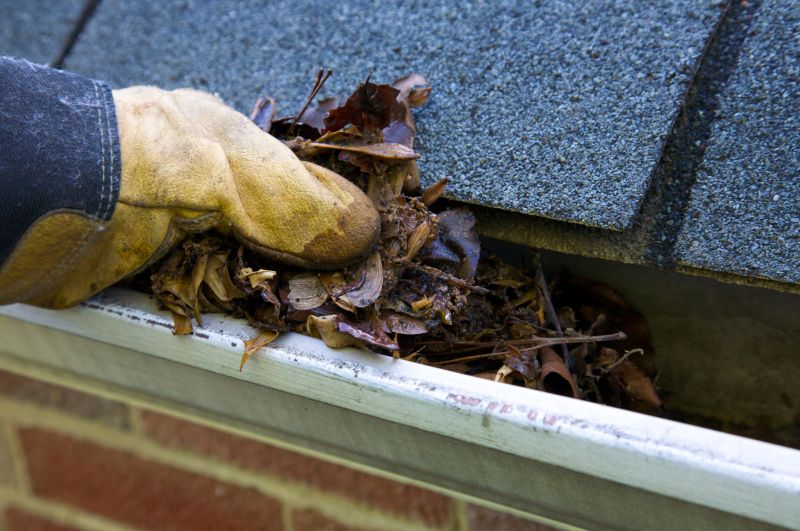 Gutter Blockage Removal in Richmond, VA