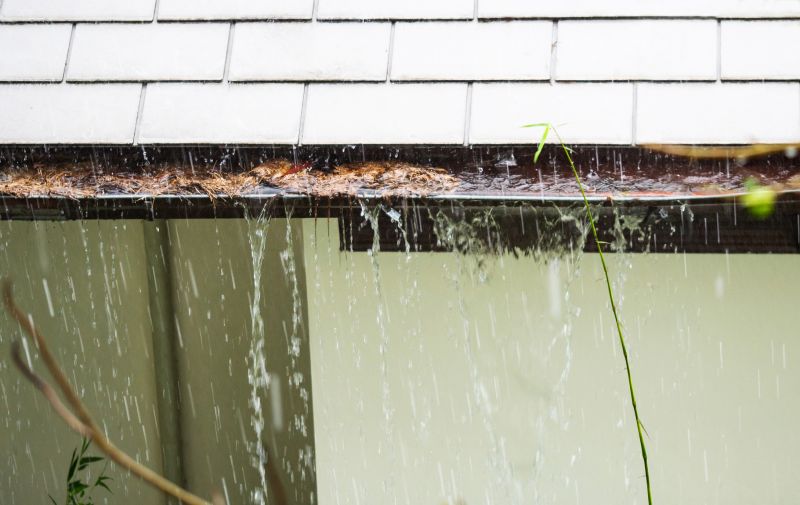 Gutter Blockage Removal in Monmouth County, NJ
