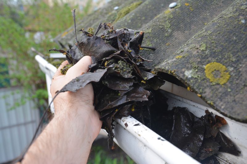 Gutter Cleaning in Long Island, NY