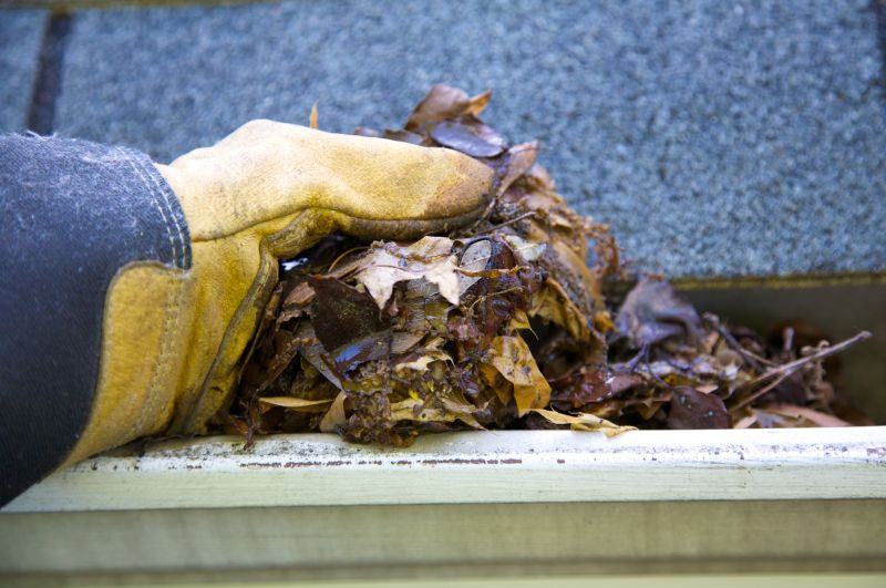 Gutter Leaf Clearing in Boulder, CO