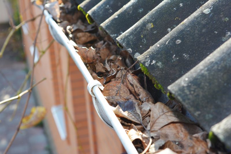 Gutter Leaf Clearing in Baltimore, MD