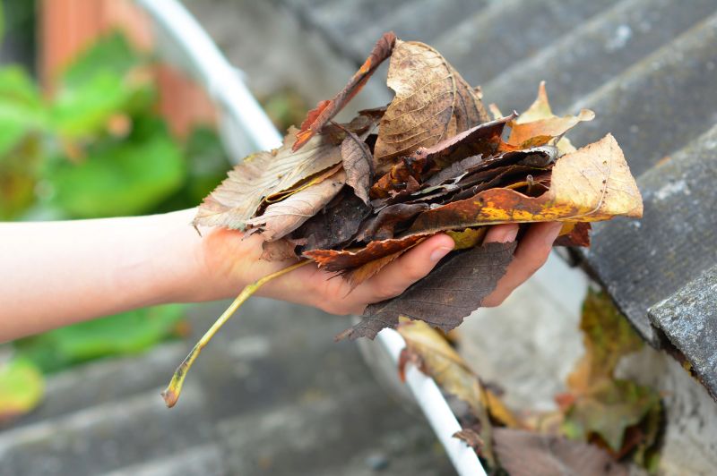 Gutter Leaves Removal in Rochester, NY