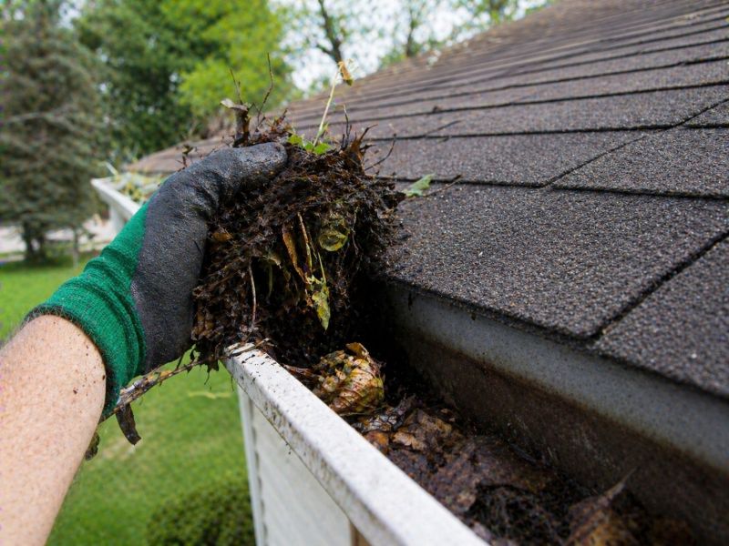 Gutter Leaves Removal in Arvada, CO