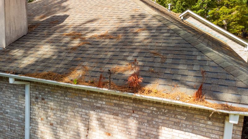 Gutter Pine Needle Removal in Frederick, MD