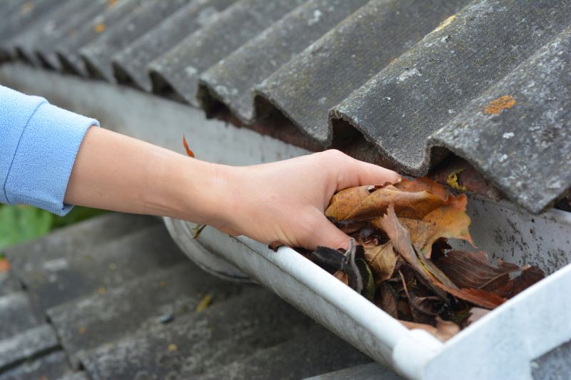 Roof Gutter Cleaning in Annapolis, MD