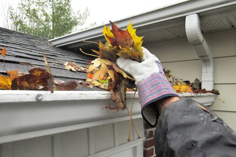 Roof Gutter Drains Cleaning
