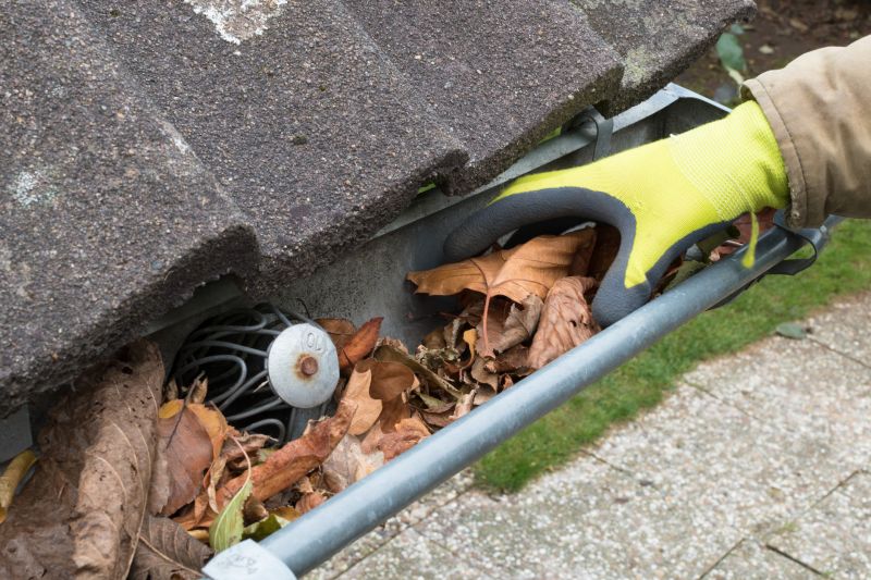 Roof Gutter Drains Cleaning