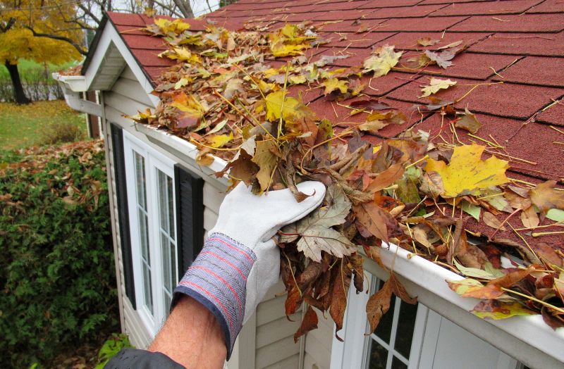Roof Gutter Drains Cleaning