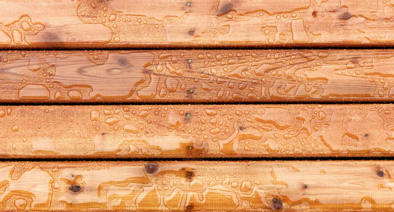 Wood Waterproofing in Bellevue, WA