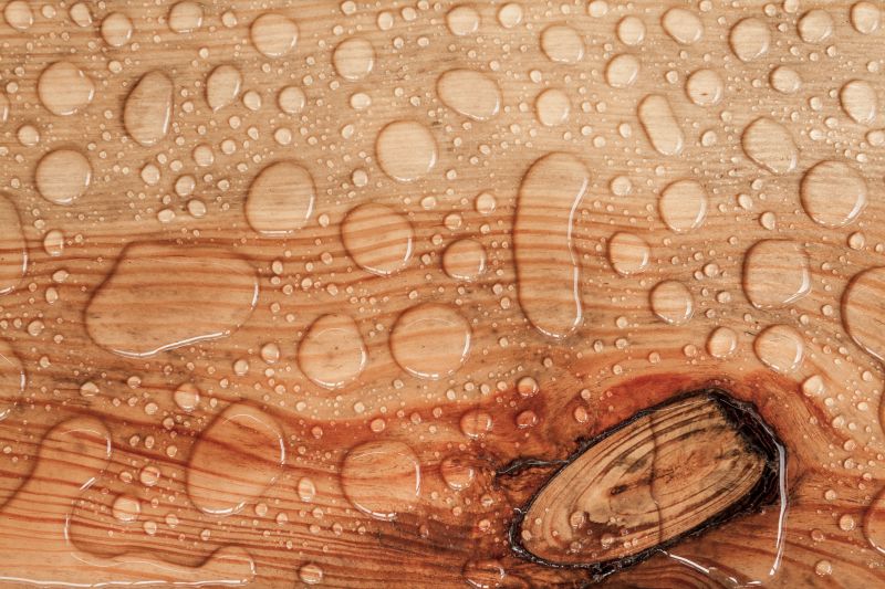 Wood Waterproofing in Redmond, WA